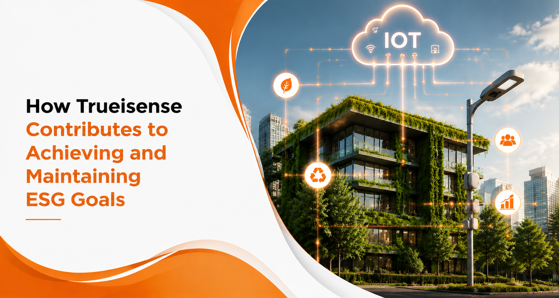 How Trueisense Contributes to Achieving and Maintaining ESG Goals