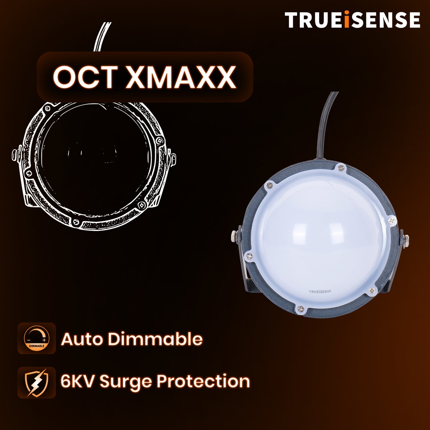 TRUEiSENSE OCT-XMAXX | Industrial IP65 Presence-Sensing Well Glass Light
