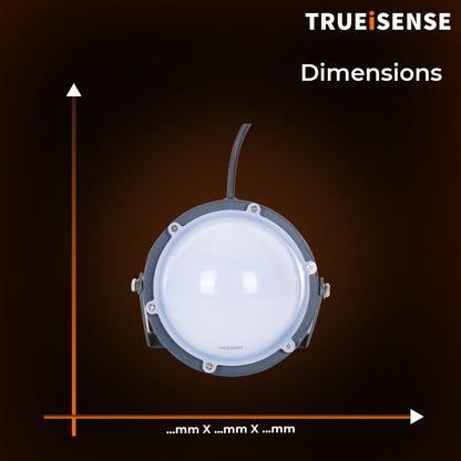 TRUEiSENSE OCT-XMAXX | Industrial IP65 Presence-Sensing Well Glass Light