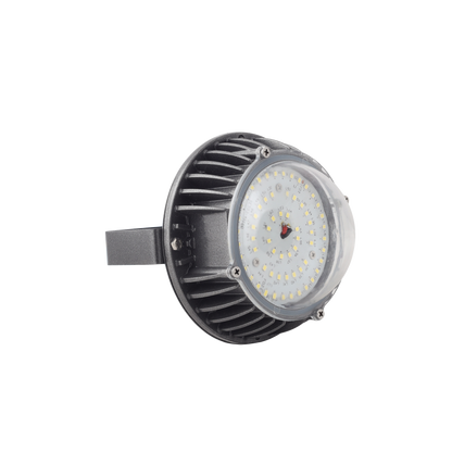 TRUEiSENSE | OCT-XMAXX Presence Sensor Well Glass Light