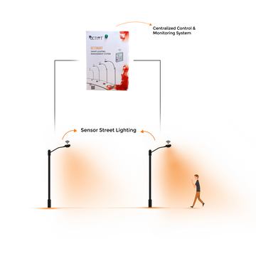 CCMS Monitoring - Sensor Street Lighting Solutions – TRUEiSENSE